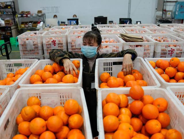 重庆秀山:电商物流全面复工 助力农产品销售